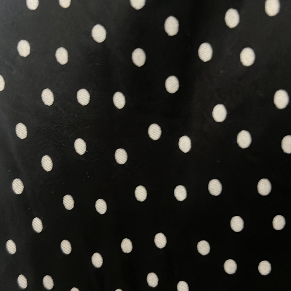 Polka Dot Skirt